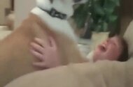 Fucking animal sex