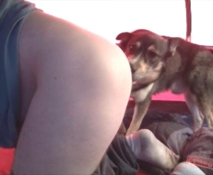 Perky booty getting banged by a dog