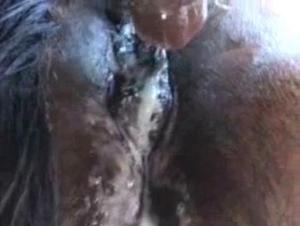 Close-up gape in a hardcore video