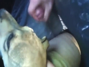 Pitbull puppy gets creampied and it's awesome