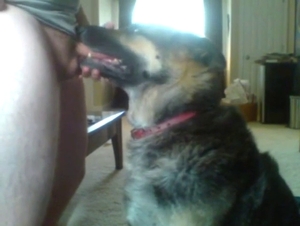 Dude has a slutty dog sucking on that boner