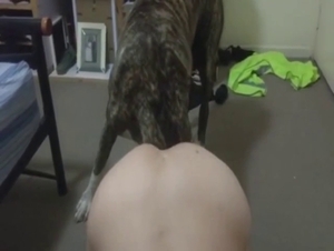 Zoophile lady goes on all fours for this doggo