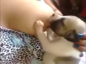 Bestiality sex with a puppy that worships tits