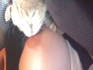 Zoo XXX with a nipple-worshipping cute kitty
