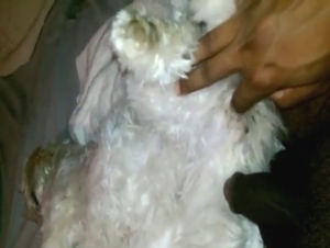 Impressive banging with a virginal dog in HQ