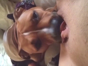 Brown beast is to worship that zoophile momma