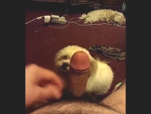 Sweet and slutty dog is going to lick dick in POV