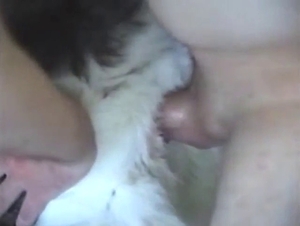 Guy is going to fuck that animal from behind